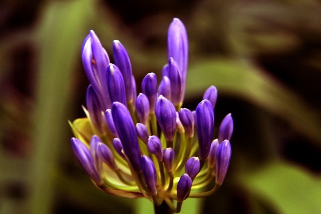 冰雪活动现 冰雪活动现