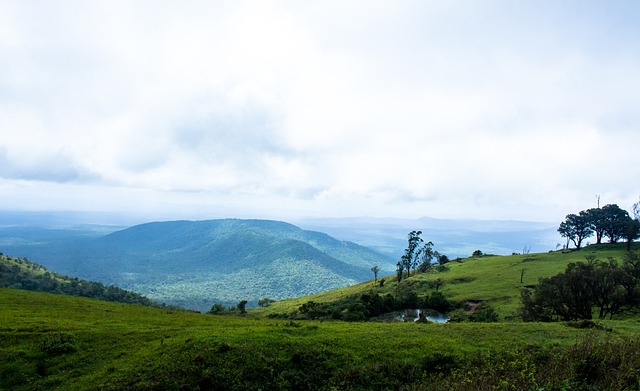 英超第11輪切爾西3-1利茲聯   吉魯破門切爾西逆轉利茲聯.