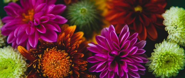 哥斯达黎加作为中转国接收首批被美遣返移民.