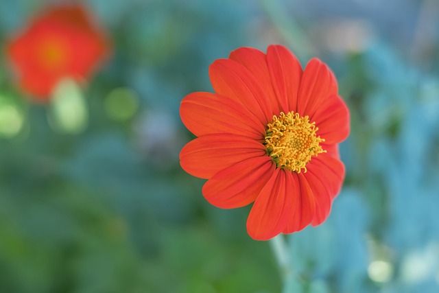 值此背景下 值此背景下