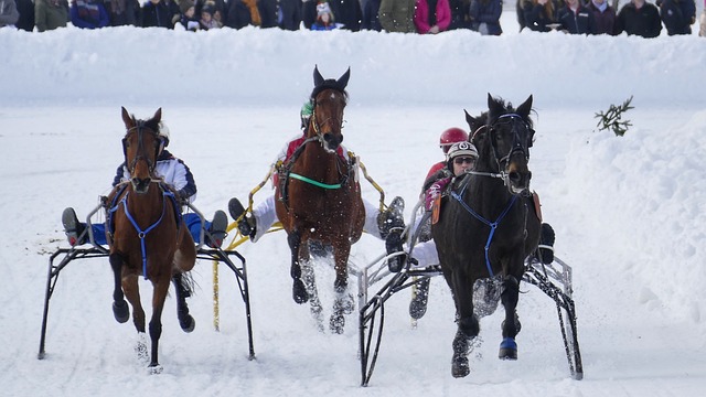 张雨霏迅速 张雨霏迅速