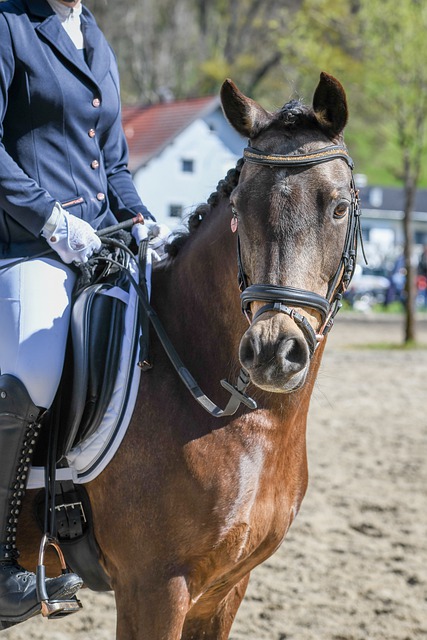 画面为何令 画面为何令